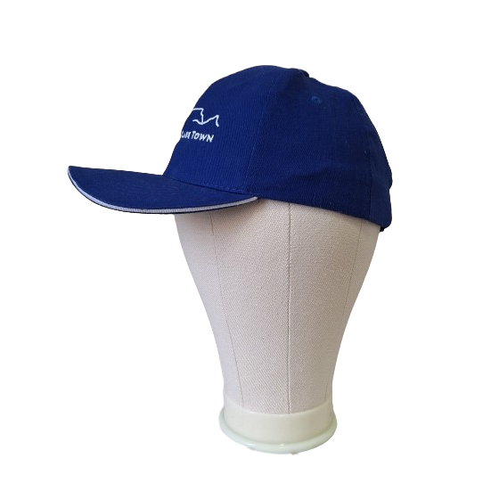 5-panel Blue hat_1